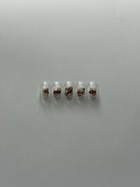 ファスト60min定額.他店オフ無料