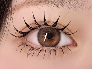 マツ(MATSU)/パーマエク100本&下エク40本