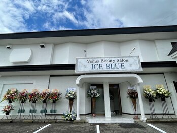 ビーナスアイスブルー(Venus ICE BLUE)/ICE BLUEです☆