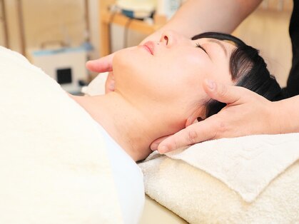 癒しの森の写真