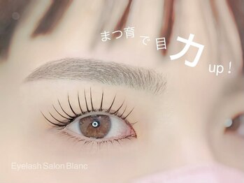 アイラッシュサロン ブラン 天王寺ミオ店(Eyelash Salon Blanc)/まつげパーマ×眉毛アイブロウ