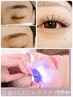 平日割★選べる【まつ毛パーマorエクステ120本(LED＋¥1100)orアイブロウwax】