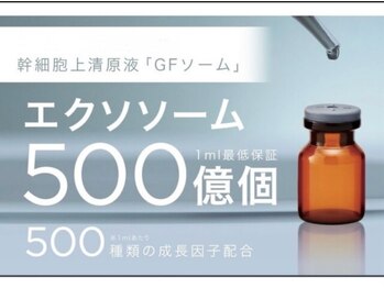 ルナカーザ(LUNACASA)/美顔筋SOSEI EXOコース