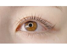 アリエル アネックス(Ariel'u annex)/パリジェンヌラッシュリフト