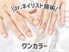 【Jr.ネイリストクーポン】ラメグラデorワンカラー