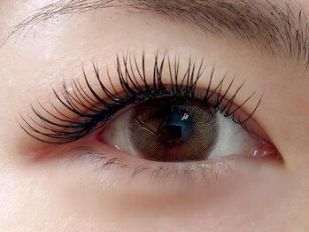 シュアショット(SURE SHOT)/フラットラッシュ付け放題