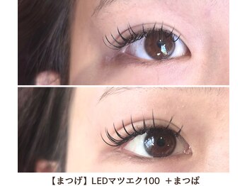 ヴィラアンドテラス(Villa×terrace)/LEDマツエク100 ＋ マツパ