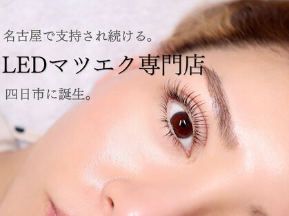 フラットラッシュ | ledマツエク専門店Eden（エデン）四日市店の写真
