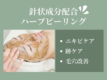 プライベートエステサロン トゥインクル/ニキビ・跡ケア・毛穴改善に◎