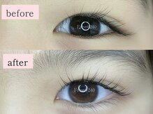 フリー#240(Free#240)/デザインラッシュリフト