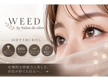 ウィード 橿原店(WEED by サロンドオリーブ)