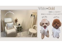 パピーネイル 北千住店(PUPPY NAIL)の雰囲気（韓国ネイルサロンの様な可愛い店内で看板犬がお待ちしてます♪）
