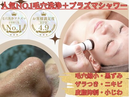 ビービー(BB)の写真