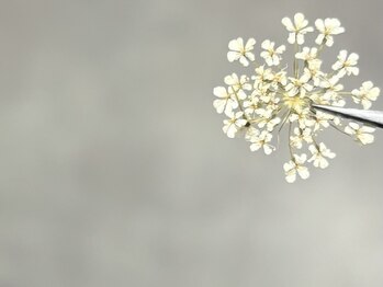 point design ￥330～