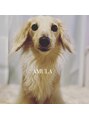 アミューラ(AMULA)&nbsp;AMULA スタッフ