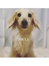 アミューラ(AMULA)&nbsp;AMULA スタッフ