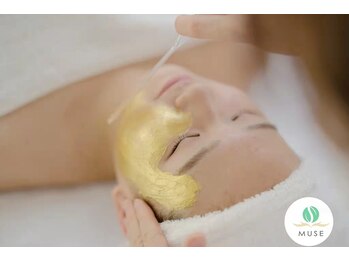 ミューズ 成城(MUSE)/琥珀パック