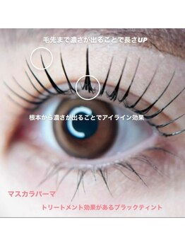 フェアリーヘア ニーナ(Fairy Hair Ni-na)/話題のマスカラパーマ