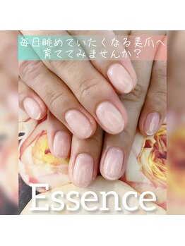 エッセンス (Essence)/美爪へ導くケア＋補強