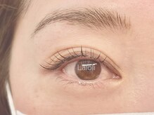 ラロリ(Laloli)/LED《フラットラッシュ》100本