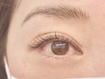 ラロリ(Laloli)/LED《フラットラッシュ》100本