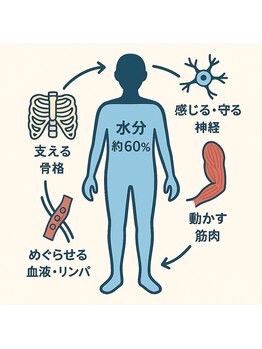 エミナル(EMINALu)/脳からの伝達