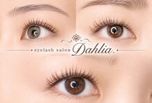 ダリア(Dahlia.)