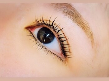 ヴィーナス 船橋駅前店(VENUS)/リフティングカール