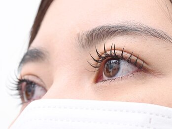 リリィ(LiLy)の写真/モチの良さと技術力が自慢*忙しい女性でも短時間で理想の目元へ☆美しく揃ったまつげでアイライン効果にも