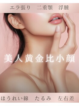 アモリール(Amolir)の写真/ただの小顔じゃない、お悩みパーツを改善し黄金比に整え美人小顔に導く感動小顔！