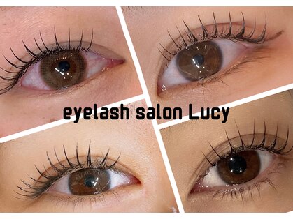 ルーシー(Lucy)の写真