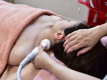 ネリネ(Nerine)/ウルトランスフォーマーRF　肩首