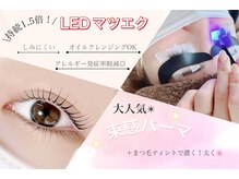 パーフェクトウィンク 新所沢店(PerfectWink)の雰囲気（LEDLASH導入店。持続力UP、沁みてしまう方にもおすすめです☆）