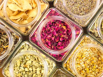 ヒーリングルームナオミ(healing room703)/当店のハーブさん達です