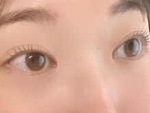 アンディアイラッシュ(ANDY eyelash)