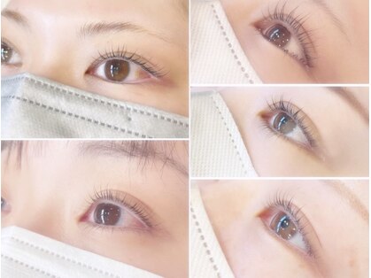 シャーム(scharm)の写真