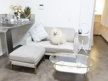 アインス(eins)の雰囲気(看板犬在籍サロン★ポメラニアンのトト11さい★のんびりさん★)