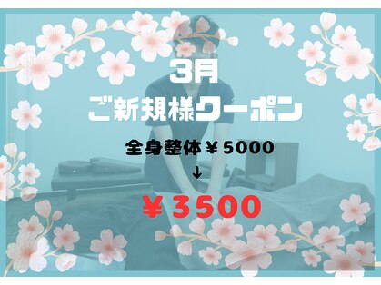 トントン(tonton)の写真