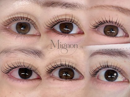 ミニョン(Mignon)の写真