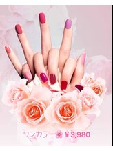 ラベンダー(Lavender)/