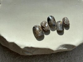 シルバーニュアンス