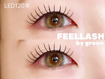 フィールラッシュ バイ グリーン(FEELLASH by green)/LED120本(キュートデザイン)