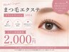 cocoa専用【Jrデビュー直前】まつ毛エクステフラットラッシュ100本　￥2000