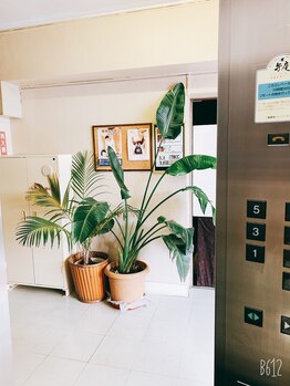 整体院 TBCC 天神本院/エレベーターで４階へ