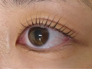 ウルカ アイラッシュ(uruka EYELASH)/ラッシュリフト