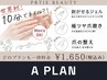 Aプラン【10分ネイル1,650円】極ツヤ磨きで艶感（SNEP10分ネイル認定サロン）