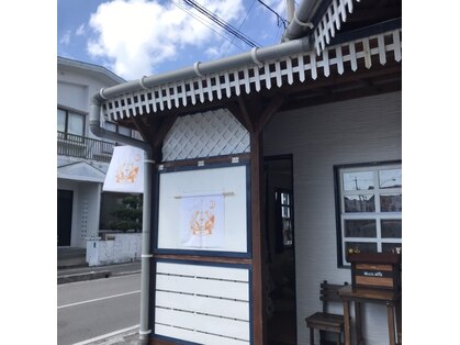 くまの爪の写真