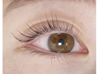 ヴィフ(Vif)/パリジェンヌラッシュリフト