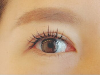 リボン アイラッシュアンドビューティーサロン(RIBBON)/ワンホン風フラット120本