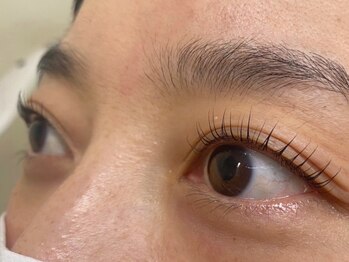 ウルカ アイラッシュ(uruka EYELASH)/ラッシュリフト